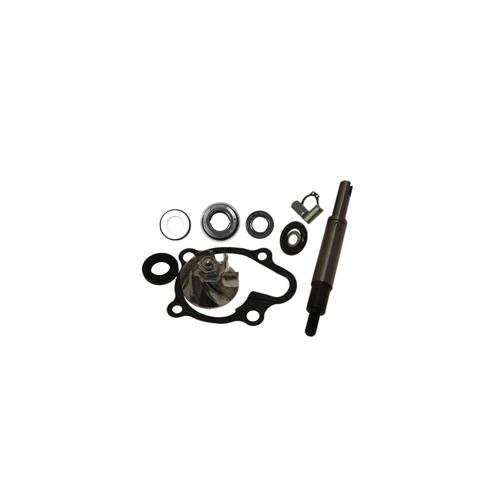 KIT REVISIONE  POMPA KYMCO DINK 180