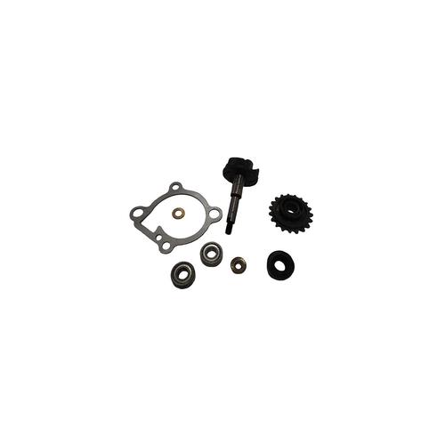 SYM 125-180 PUMP REVISION KIT