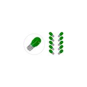 LAMP. FRECCE TUTTOV  VERDE 12V-10W 10PZ